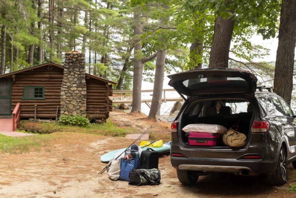 The Future Of Pine Log Siding Homes