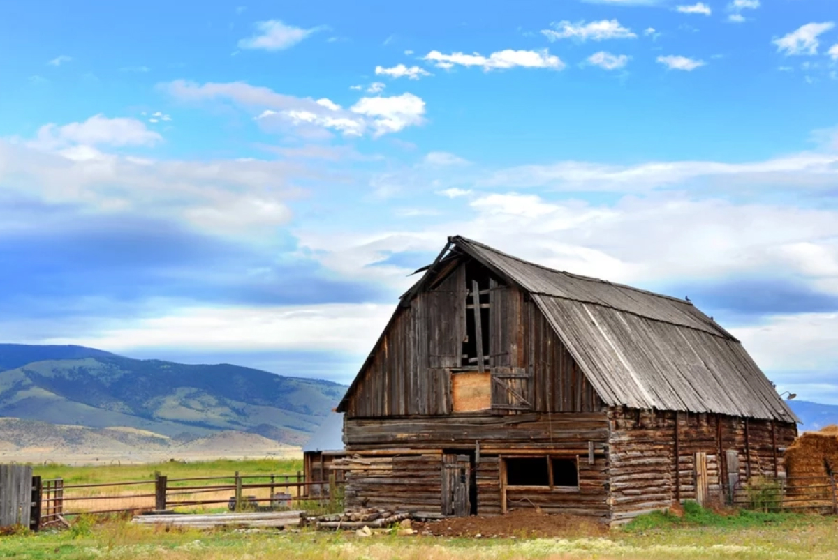Log Siding Barns And Sheds Are Trending