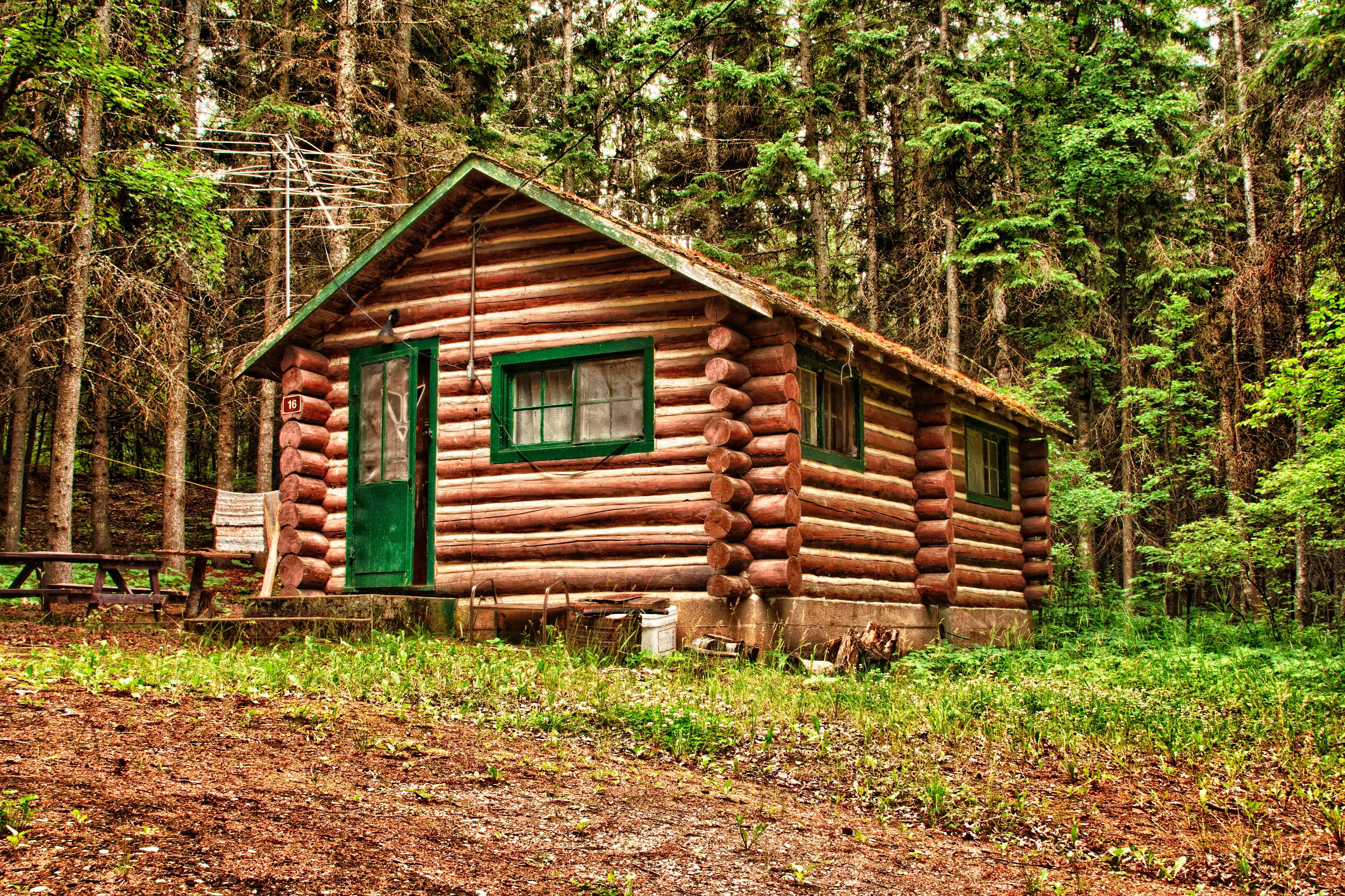 What Most People Want in a Log Cabin